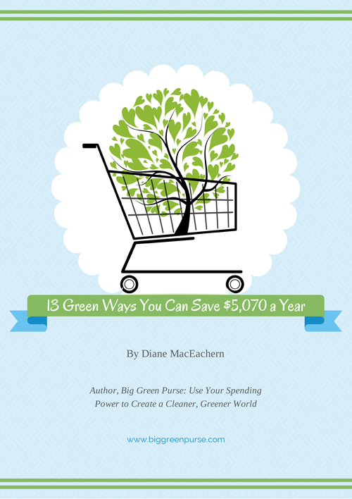13-Ways-You-Can-Save-$5,070-a-Year-Cover