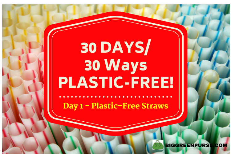 plastic-free straws