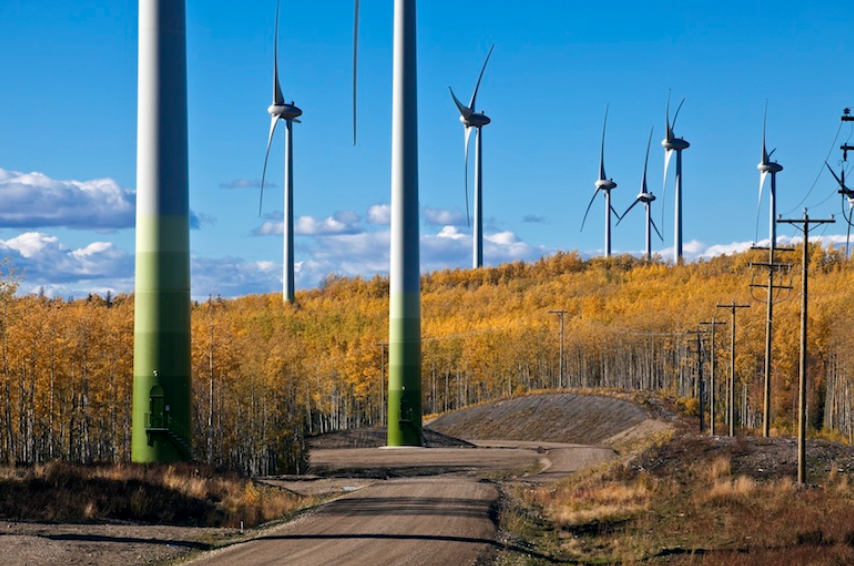 Windmills on a field generating clean energy.