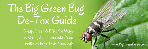 Green Bug De-Tox