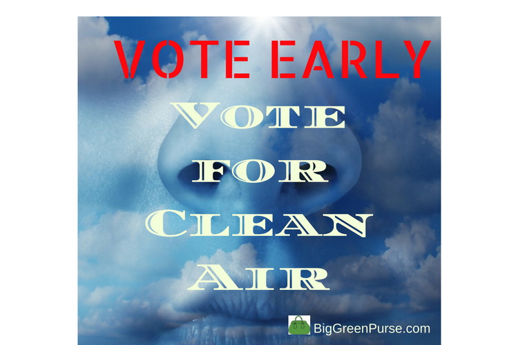 vote-early