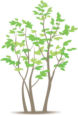 top green living blogs