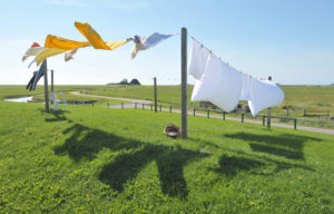 clothesline google labeled for reuse
